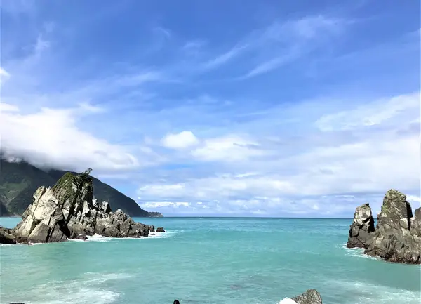粉鳥林魚港