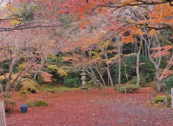 石山寺の紅葉