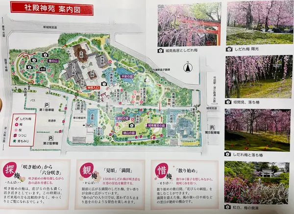 神苑 源氏物語 花の庭 パンフレット