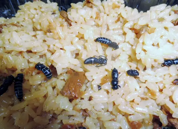 へぼ飯