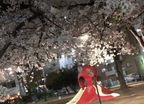 向い側に公園があります