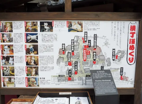 猫ちゃんを捜そう…！横丁猫めぐり