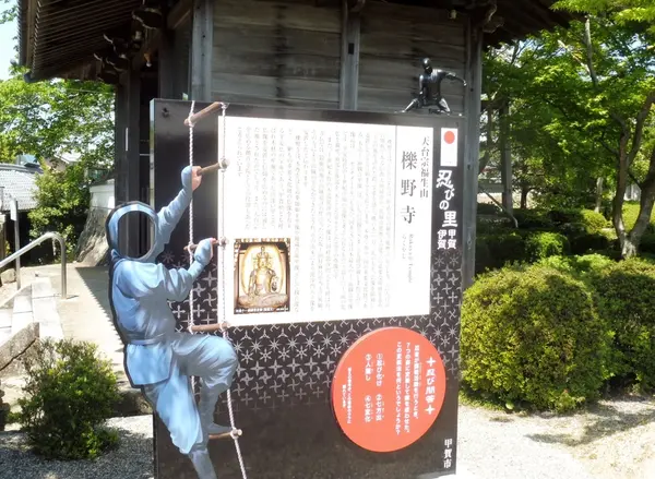 一応、「忍者抜き」なのですが…。