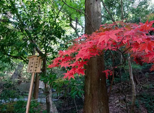 大山祇神社・子安神社