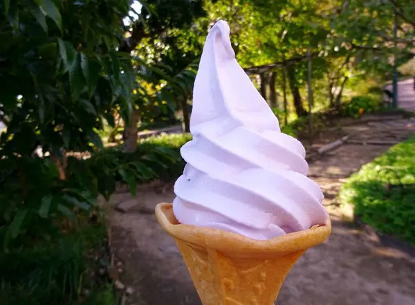 ラベンダーのソフトクリーム