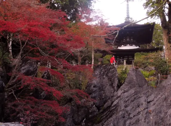 石山寺というと…！硅灰石