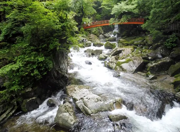 ”浄化のパワー”を受け止めて