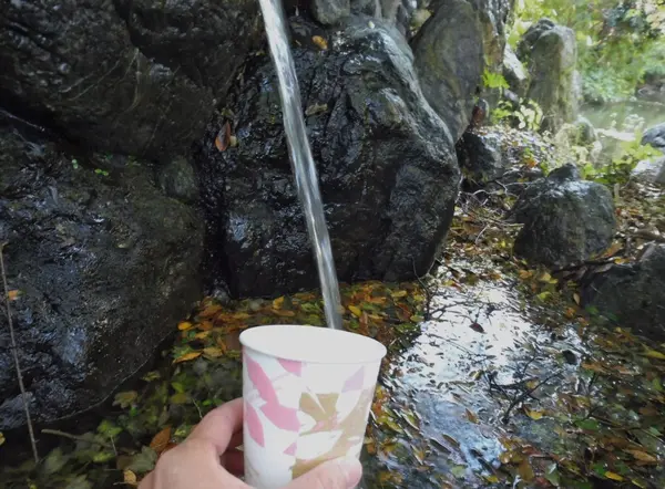 お水取りもできます…！