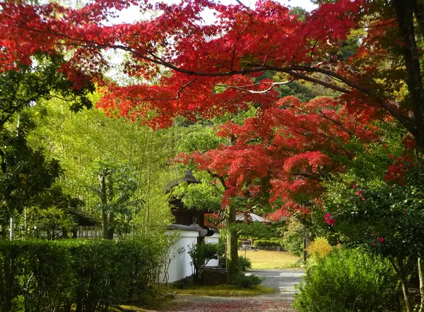 広い庭園は穴場スポット…！