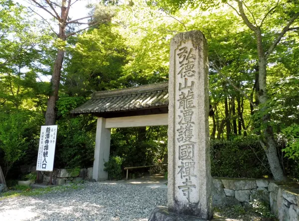 閑静な参道をゆく