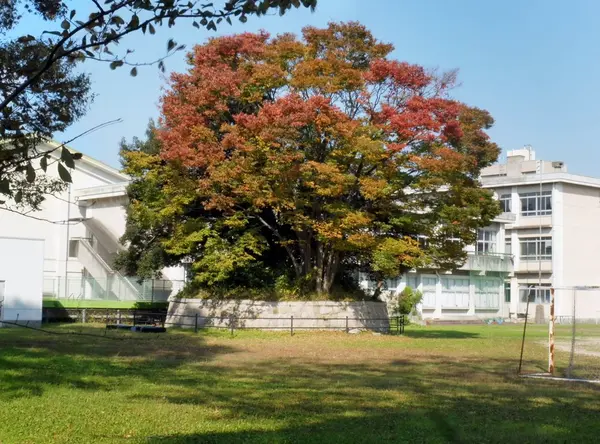 神様が降り立った聖地…？