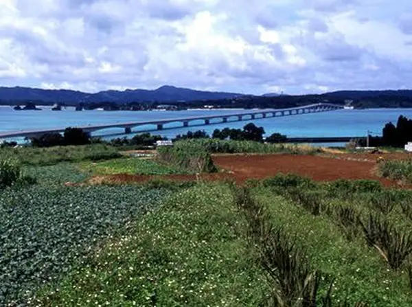 赤土の島