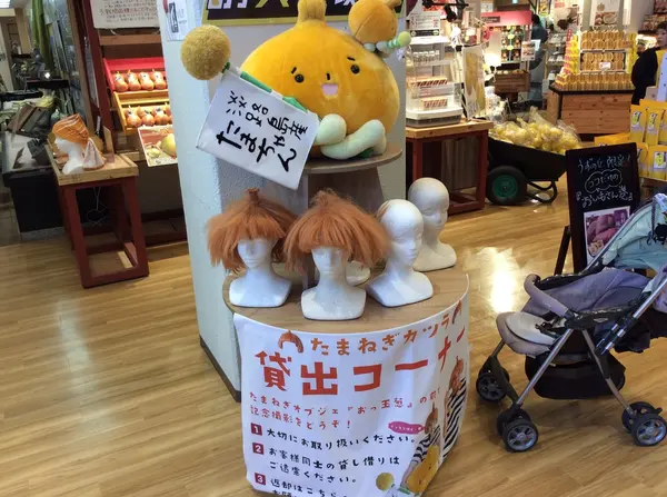 たまねぎカツラで記念撮影