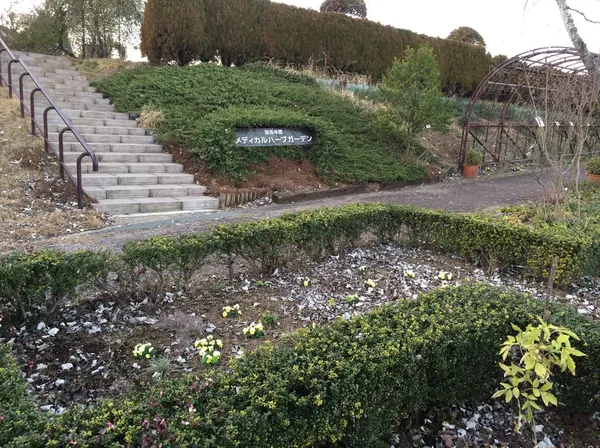 ハーブガーデン散策✳︎