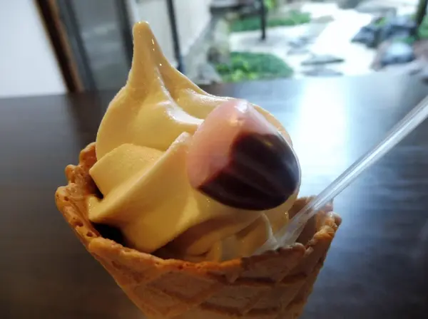 ソフトdeモリグチ