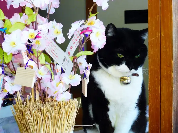 花換祭の「桜の小枝」