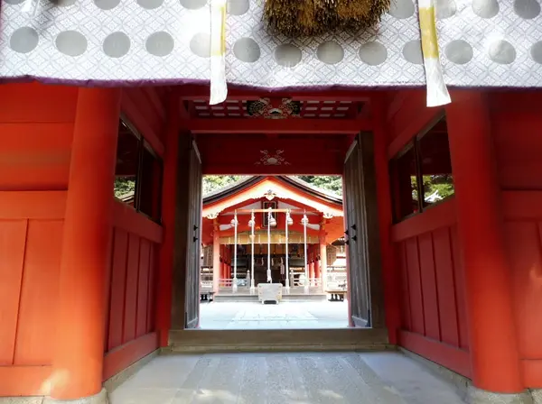 輝くような華やかさ…！