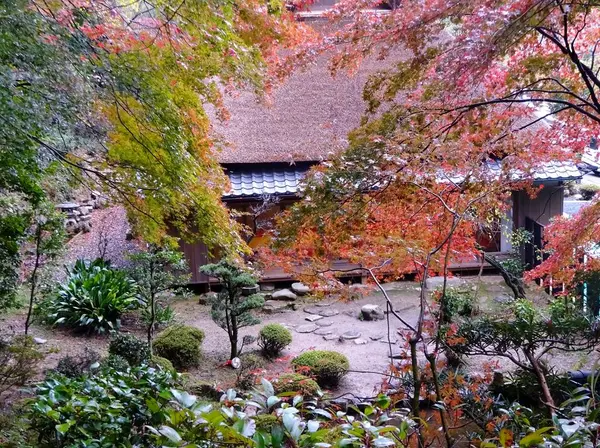 名勝庭園を覗き見…！