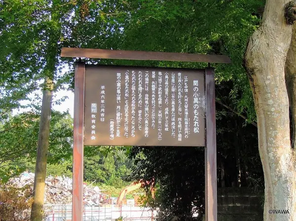 関の小萬のもたれ松