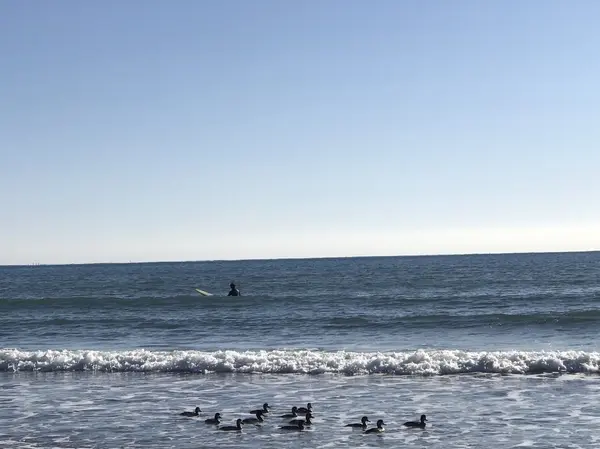 自然に癒される海辺