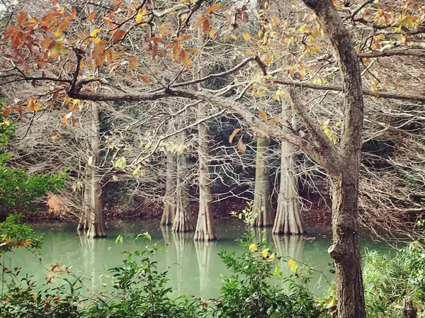 美瑛の青い池より、好きでした☆