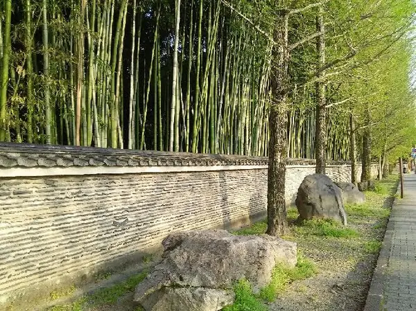 大徳寺の「瓦土塀」がいい感じ