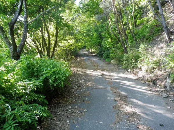 加治田城跡への道