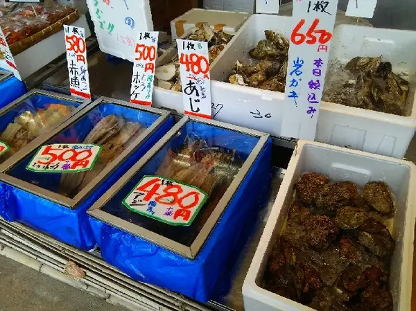 岩ガキも食べごろ