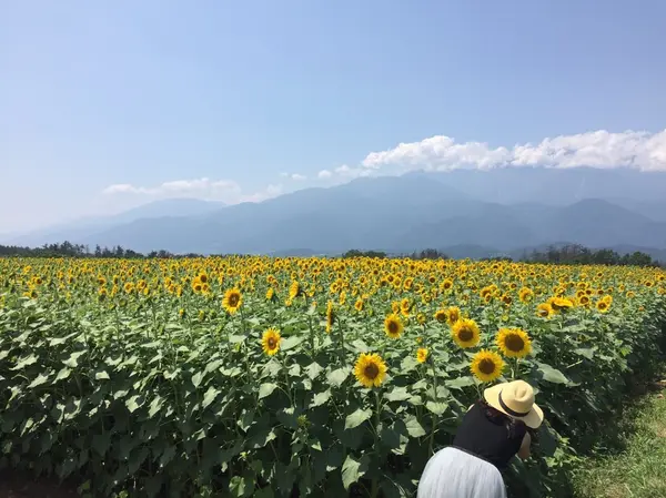 スポット内のおすすめ