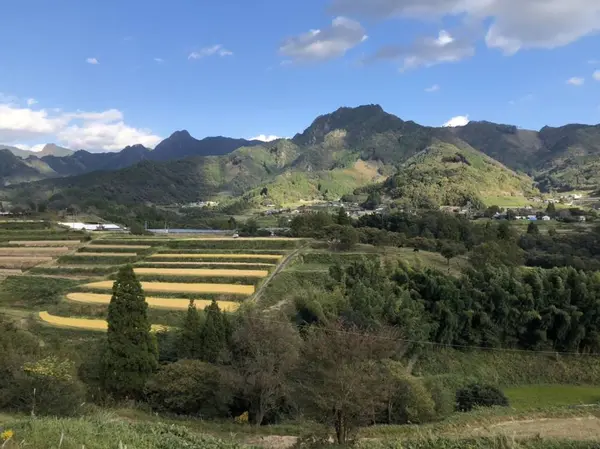 栃又の棚田