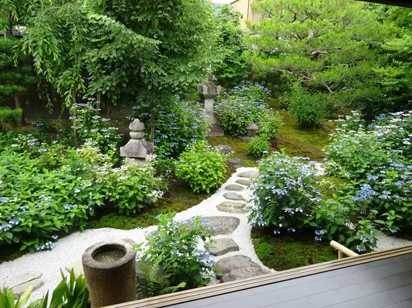 お庭一面に甘茶の花が…！