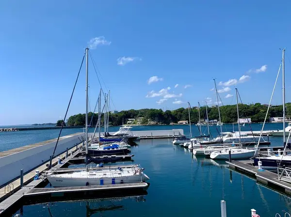 レストランの隣にはたくさんの船がとまってる⚓️