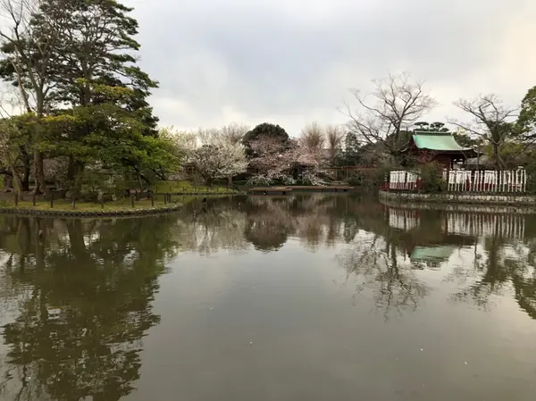 大きな池