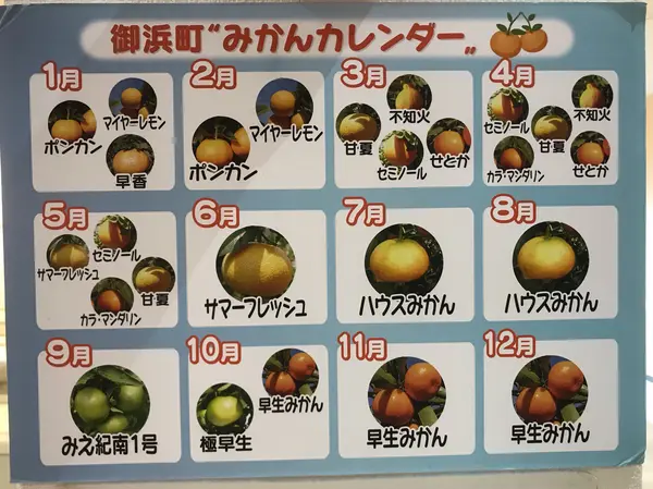 スポット内のおすすめ