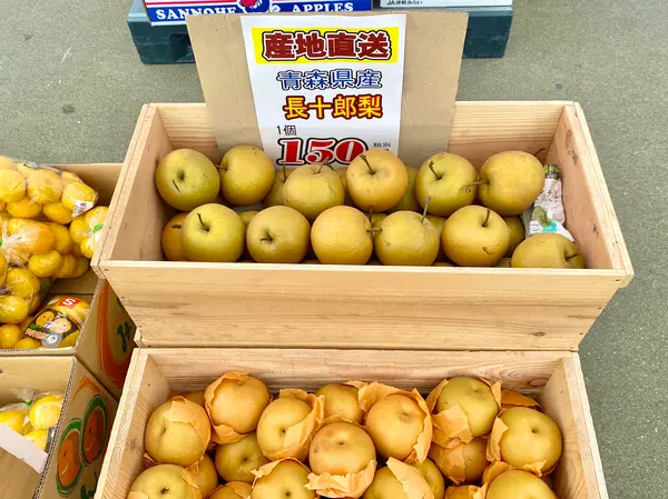 地元の産物いろいろ発見🍋