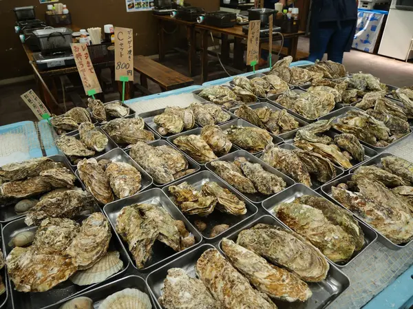 大量のカキにはびっくり！