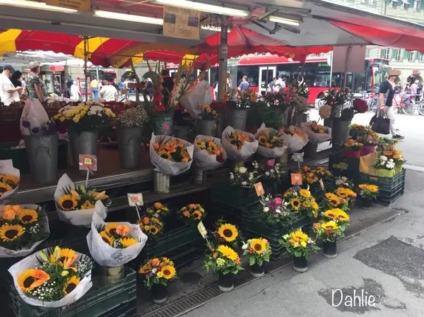 スポット内のおすすめ