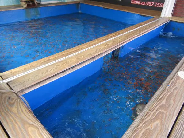 ドクターフィッシュの足湯