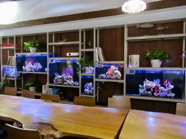 東興洋行・ocean space cafe