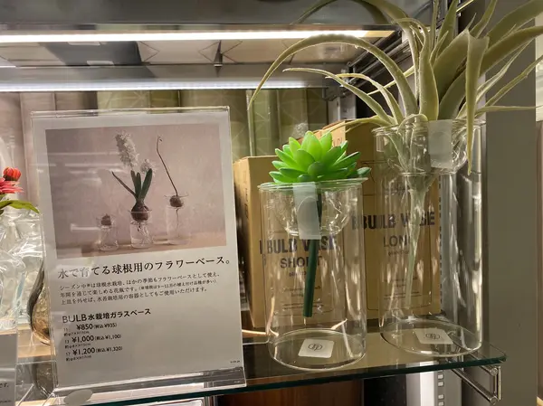 手軽に癒しの空間づくり