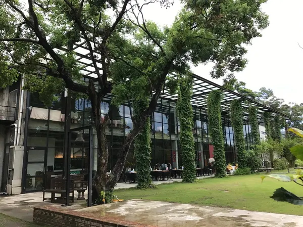 新月梧桐三義店