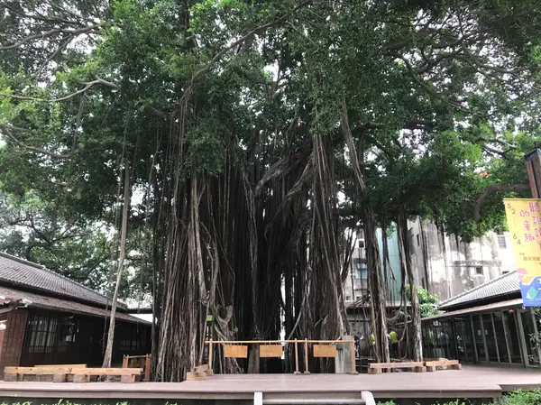 台中文学館