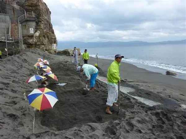 山川砂むし温泉「砂湯里」