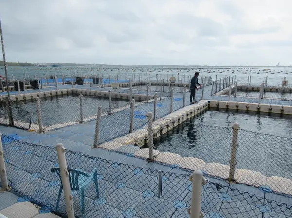 海上皇宮海洋牧場
