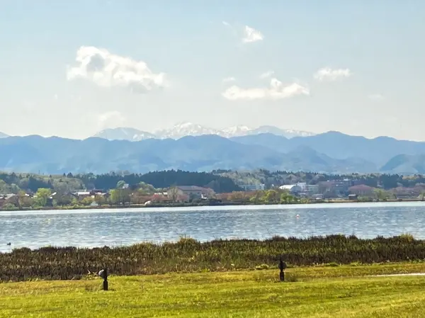 展望休憩所前の眺望の草原からみる冠雪の白山