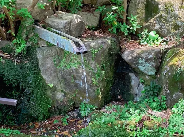 お水も汲めるよ