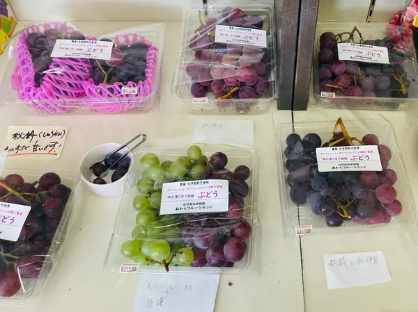 無農薬栽培にこだわった果物たち