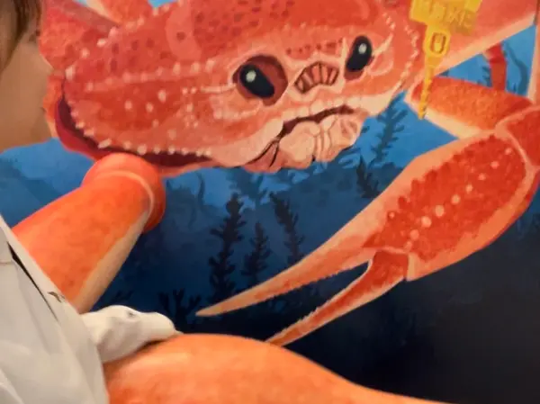 大きなカニがいた