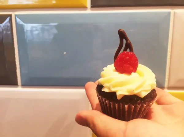 チョコレートラズベリー