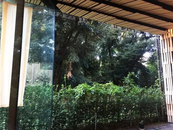 森カフェ